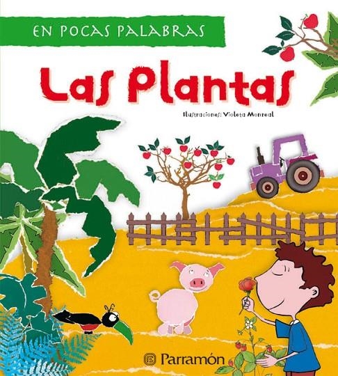 PLANTAS, LAS - EN POCAS PALABRAS | 9788434229594 | MONREAL, VIOLETE | Librería Castillón - Comprar libros online Aragón, Barbastro