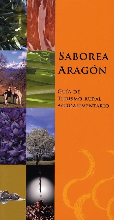 SABOREA ARAGÓN | 9788461276707 | TOQUERO MATE, ALEJANDRO | Librería Castillón - Comprar libros online Aragón, Barbastro