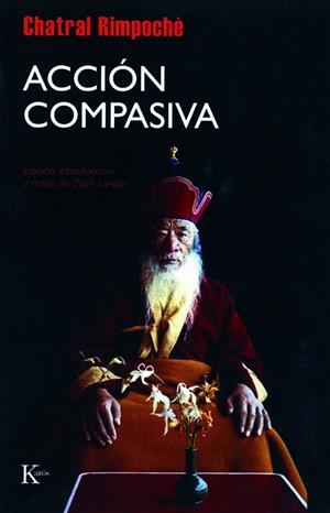 ACCIÓN COMPASIVA | 9788472456976 | RIMPOCHE, CHATRAL | Librería Castillón - Comprar libros online Aragón, Barbastro